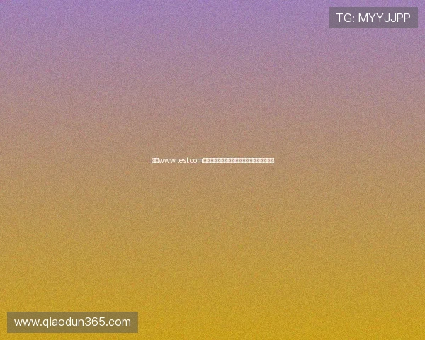 探索www.test.com：全面解读最新网站功能与用户体验提升技巧